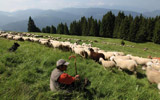 Alpe Cimbra / Trentino di Folgaria-Lavarone-Lusrn: una montagna da vivere tutto l'anno