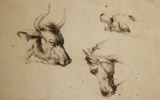 Torello Marini, Lapis su carta, 20x30 cm